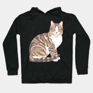 Brown and White Tabby Cat Hoodie